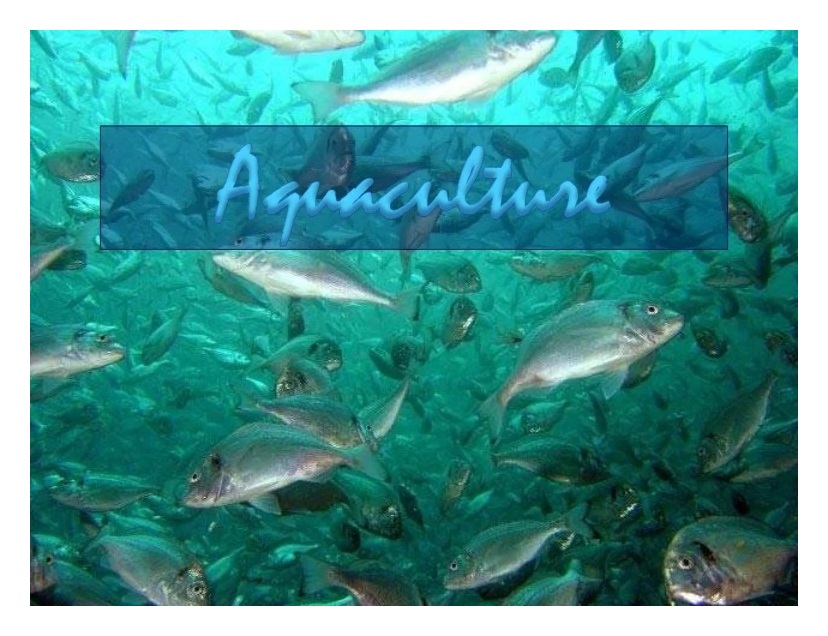 aquaculture with border