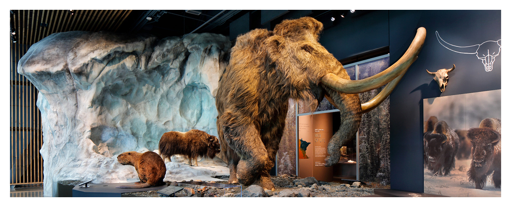 Bell Museum with border