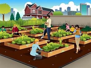 Urban Agriculture