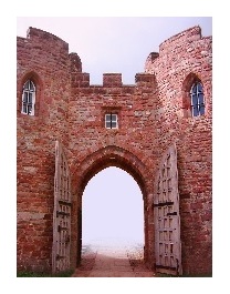 Reform or Revolution with border